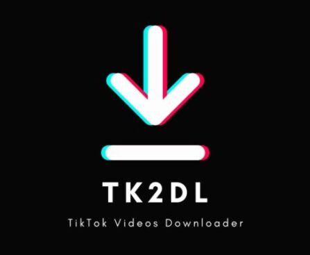 TK2DL: Streamlining TikTok Video Downloads and Enhancing User Experience